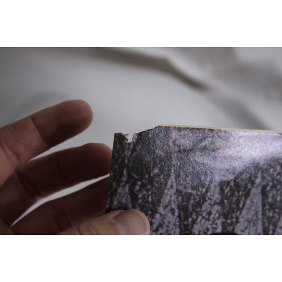 Beatles Ringo John Paul George Mario Andretti Lotus Poster Germany 1970s - Picture 8 of 8